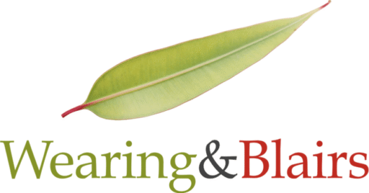 WB Logo Large